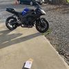 alec_feyling