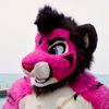 furryholtie