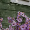 kia_s.h