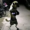 qwertasduiop