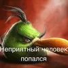 shinshila1234