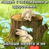 mamedovkamil1