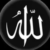 rebo.is