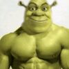 vitalysoppa