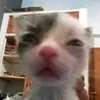 icantthinkofausername_5