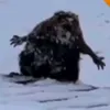 evgeniitagiiv1