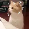 khai_kki