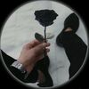 momo_dz14