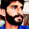 shahzad7671shahzad7671