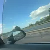 hatedbuthonest