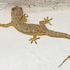 williaaugusto