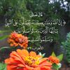 yousefmhimid