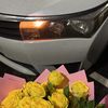 norah_8933