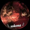 karas1.6