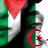 islam.slimani.223