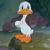 luanahsq