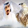 aldgam2