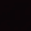 eupereiraof