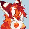 yolkpaws