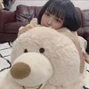 yumeha28