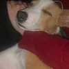 pedroandtomi