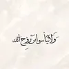 z_ha3.1