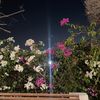salma_fouad5555