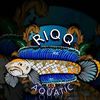 riqzz_aqutic1
