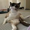 tobeysbeans