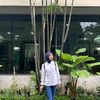 ghodiva02