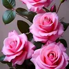 fati_fleur_60