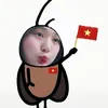 bokhobanhmi24