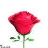 user5382291366146678