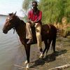 user544617354