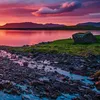 chari_32