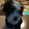 lina_lopx