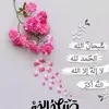 bsm_67