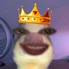 onleemhs