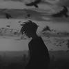 duclin_06