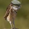 drochkman