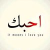 mohamed_alnamir12