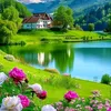 user812195920
