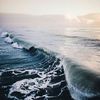oceangul_