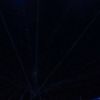 nawaf12829