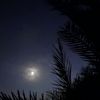 lujain_2925