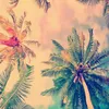 isma_tocoto
