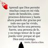 reyesvilma177