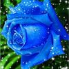 evacereza2
