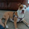 roxy.com21