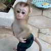 lelewlz__